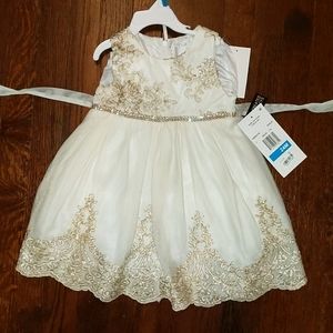 Rare Editions Baby Girls Gold Embroidered Dress